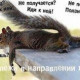 Роза Маслова