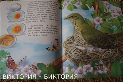 3a27dbb2ced09b973b8cc6f5bcaf1d48.jpg