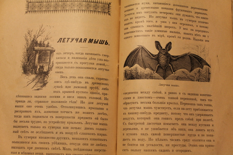 Семейная библиотека.