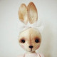 Bunny Queen