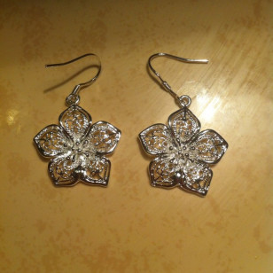 Серебряные сережки. Г Зеленоград