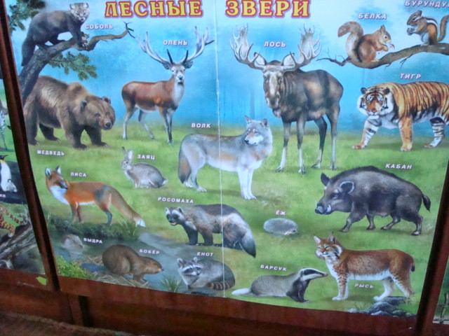 ТН "Весна"