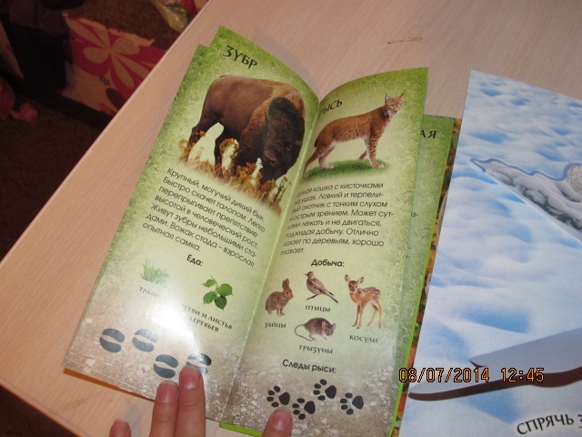 хвастики книги..