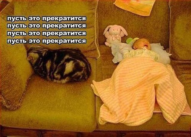 Доза позитива и жизненных данностей.