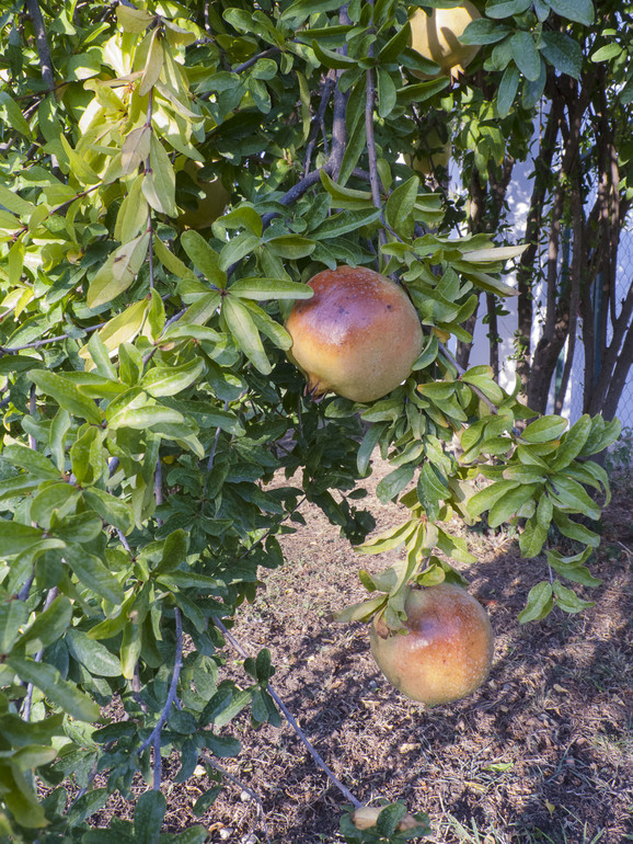 Турция, часть 1: природа