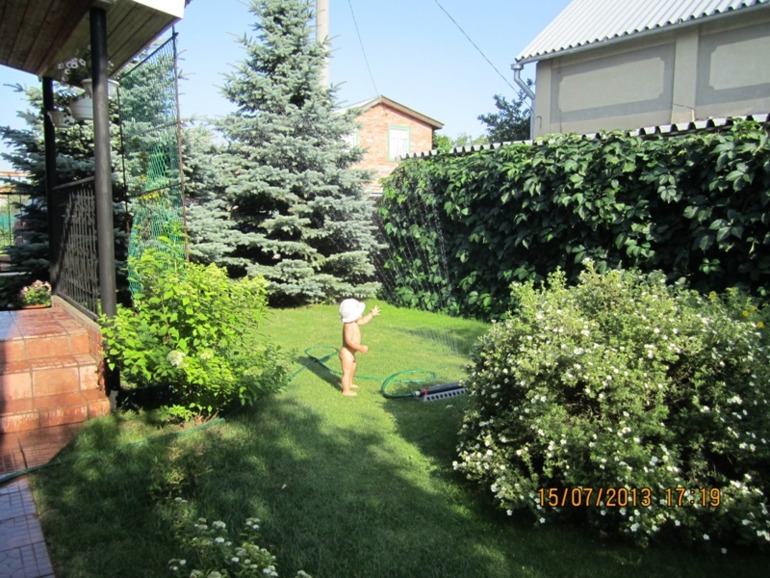 Фотоотчет о нашем лете)