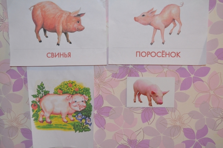 тз Поросенок
