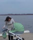 Лилия