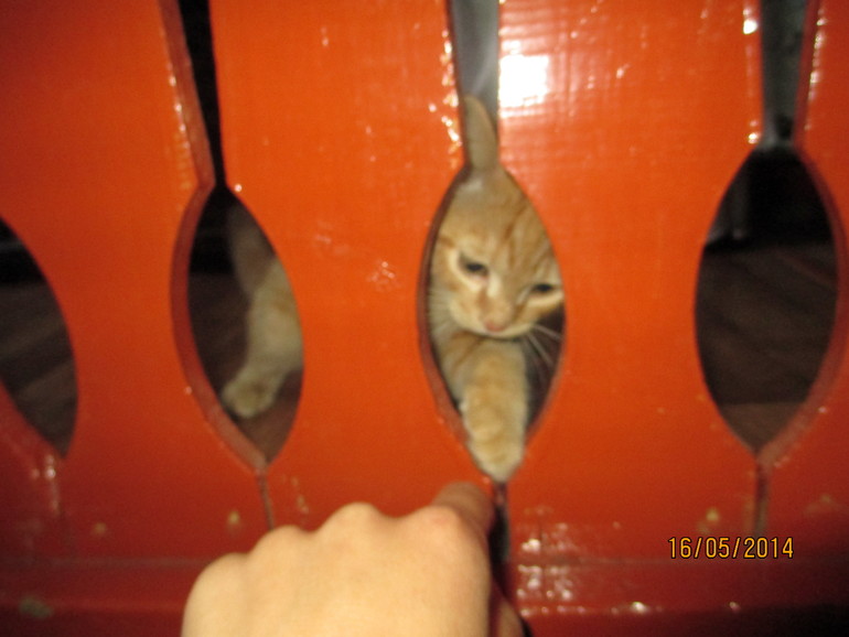 Обо всём