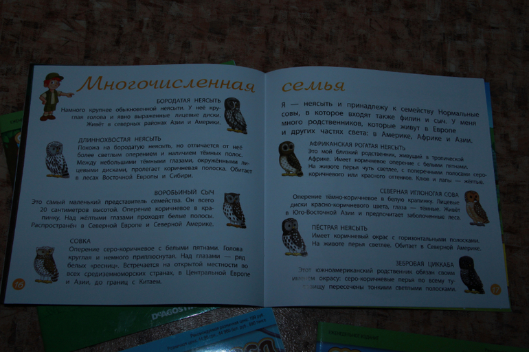 Животные леса