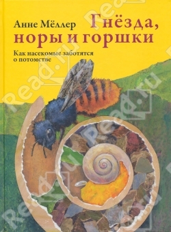 ТН