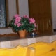 Родник у инжира