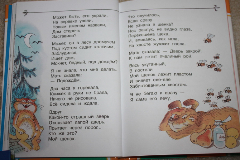 Стихи Михалкова с Чижиковым