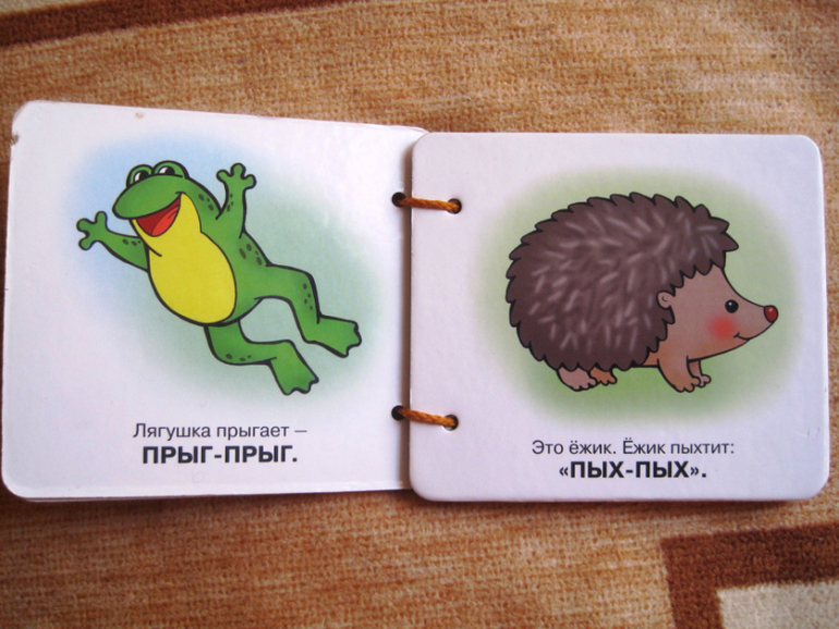 Книги, которые нас заинтересовали в годик.