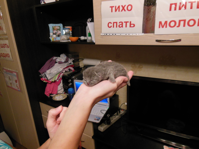 Нам 2 дня )))