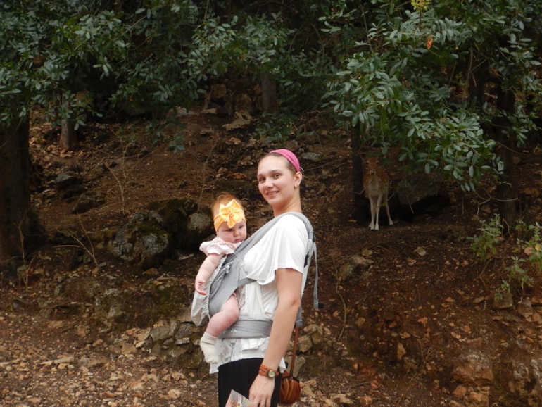 d9fc6273be12fa8617275789086a4fcb.jpg
