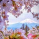 Екатерина Куваева