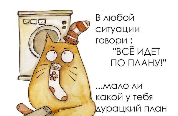 Взлет 68 день 20!