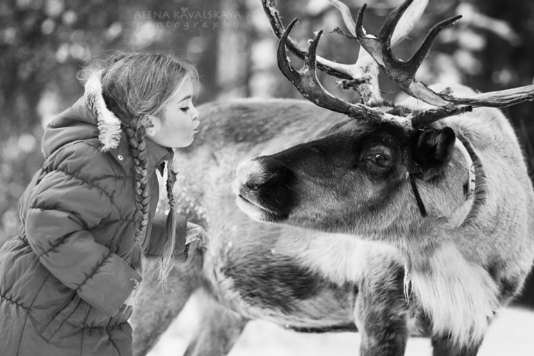 Что-то так захотелось Оленей)