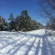Анна Петрова