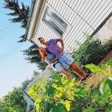 Анастасия Будняева