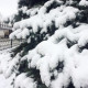 ИриСка