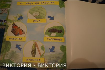 9592a00bd2c2aedd0814c65fb1953bbb.jpg