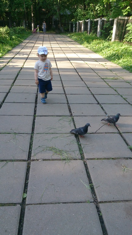 Полуторагодовасие