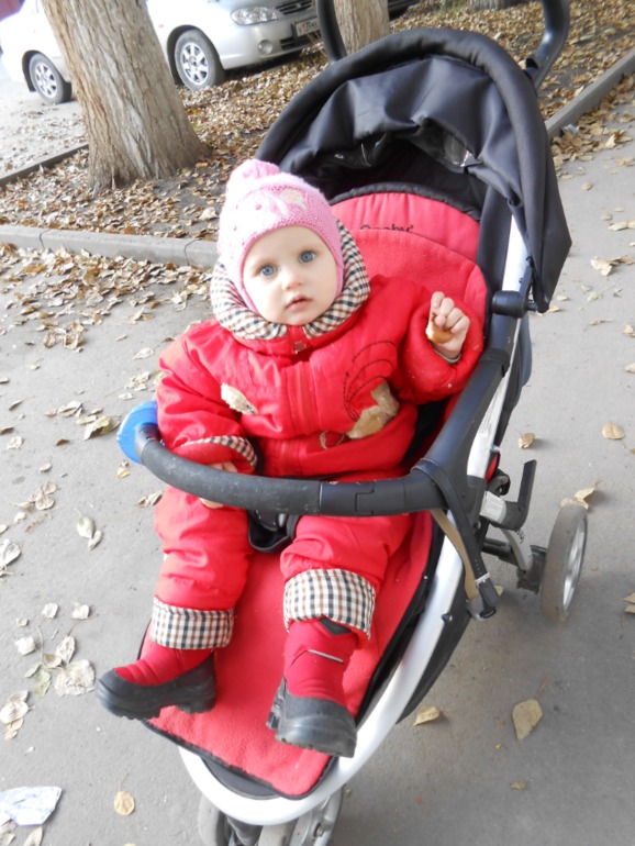 11 месяцев