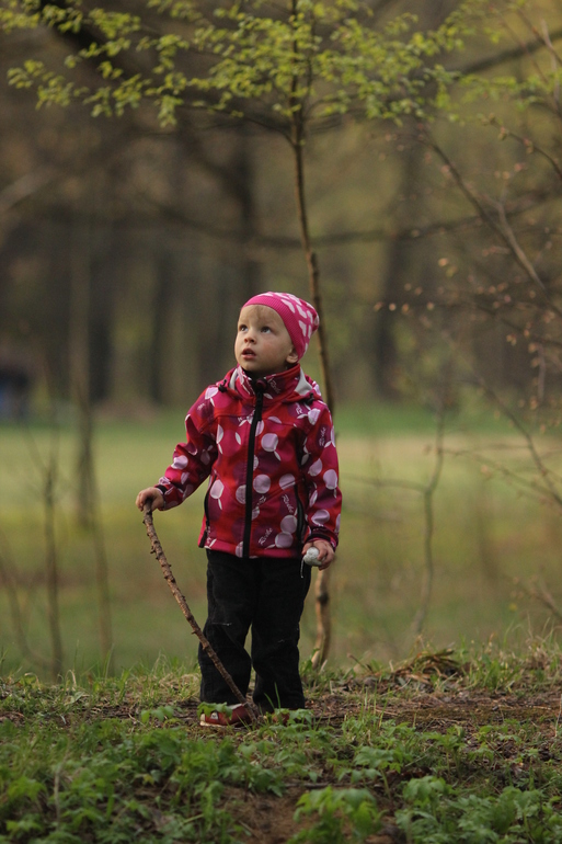 Дорога в лес.