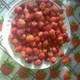 Татьяна Козленко