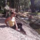 Елена Воробьева