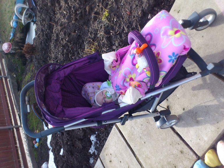 наша Cybex Callisto