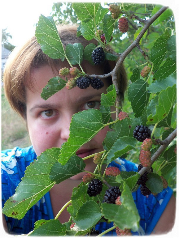 А просто так)))