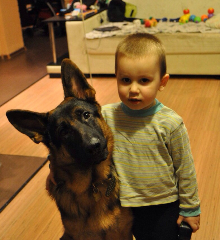 Наши будни)