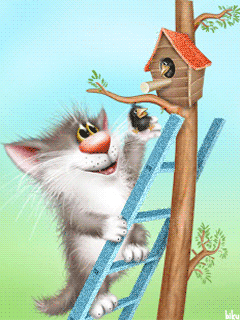 милые котейки)))