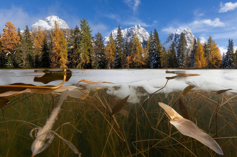 Лучшие фотографии марта