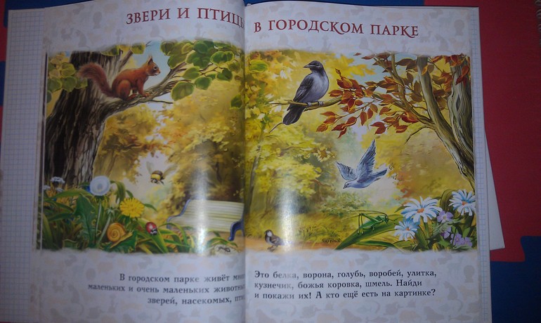 Первые книги