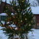 Валя