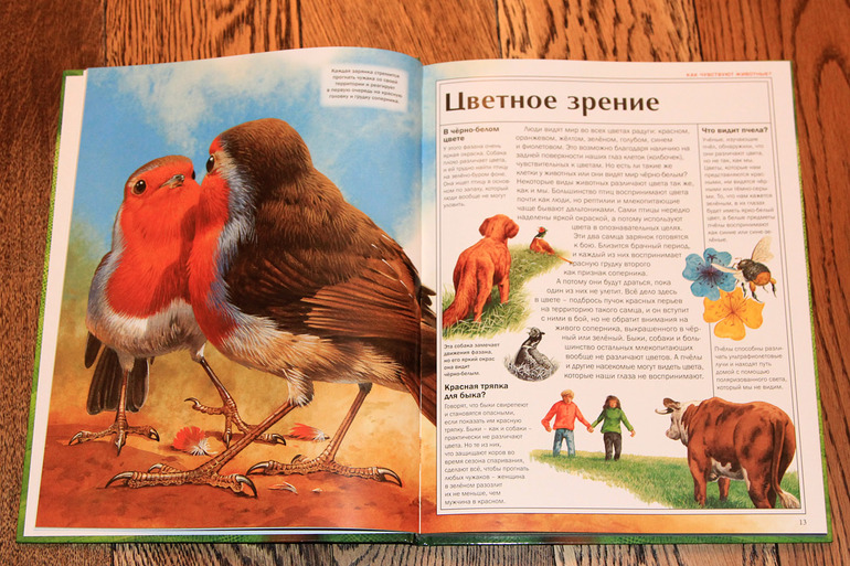 Атлас животных.