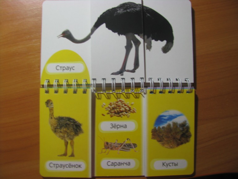 ФМ ТН