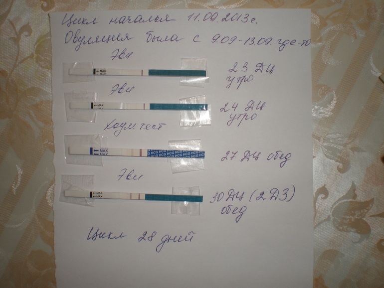 1cb5a70cb203f24cd8f73dd52ef92710.jpg
