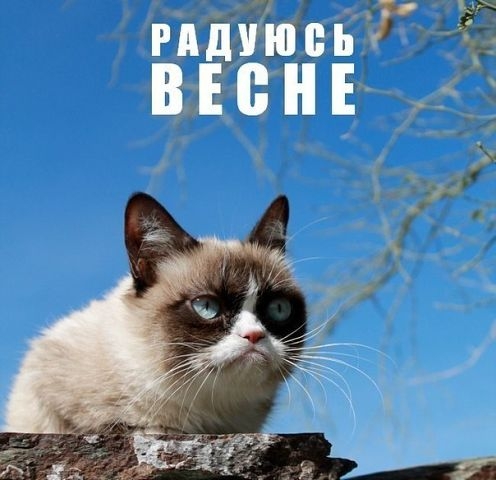 Время улыбнуться.
