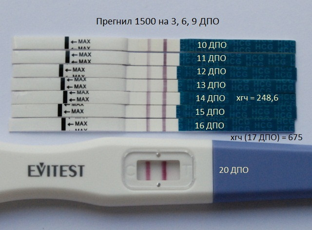 иньекционный ХГЧ по дням ...