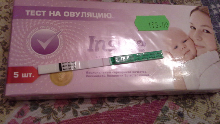 тестик