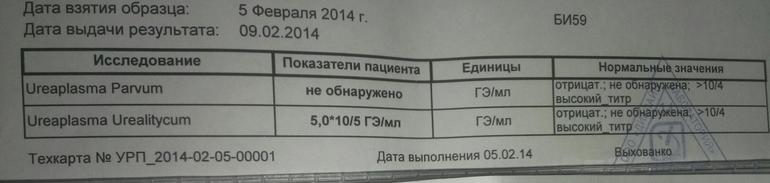 Уреаплазма и ВПЧ контроль после лечения