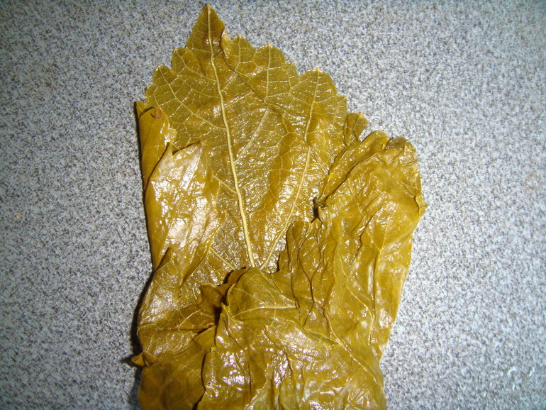 b7ef01c01d5d4bac9bfac38ebd04d967.jpg