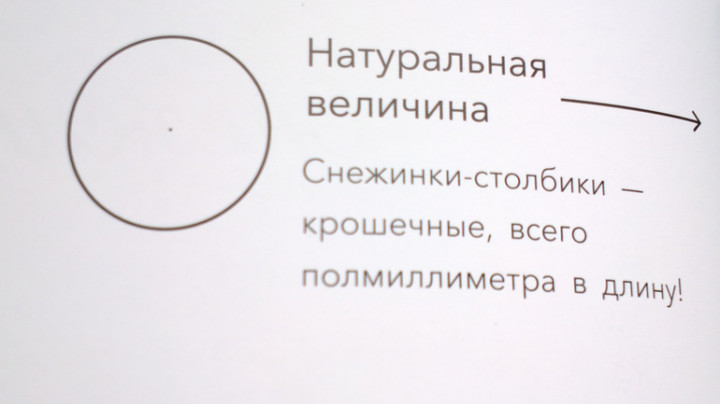 Книги про снежинки и снег — 5 ответов на Babyblog