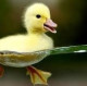 Любовь
