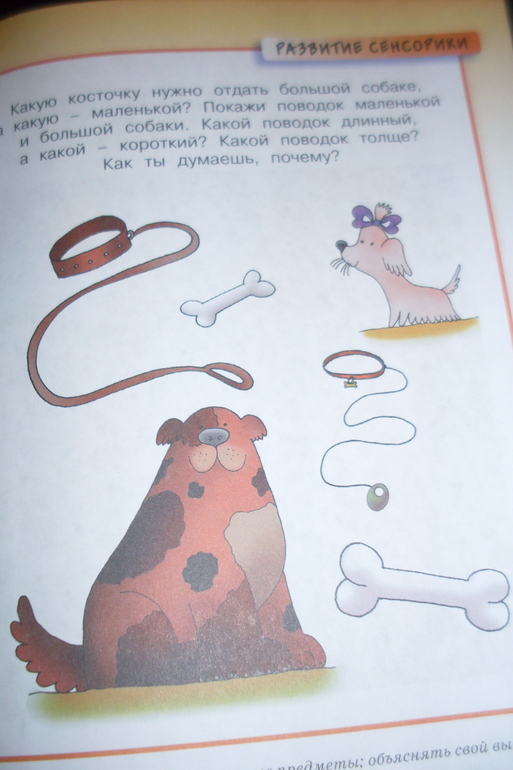 ТН